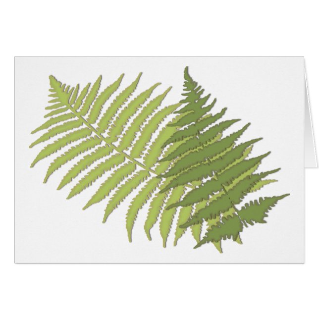 Fern Leaves (Anverso (Horizontal))