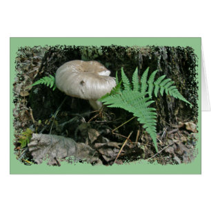 Fern y hongos en elementos de coordenadas con troz
