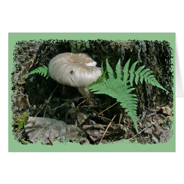 Fern y hongos en elementos de coordenadas con troz (Anverso (Horizontal))
