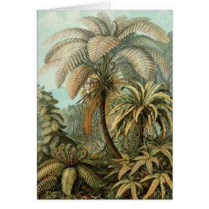 Ferns Palm Tree Antique Botanica Ferns Art
