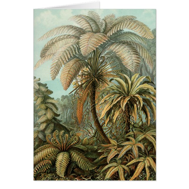 Ferns Palm Tree Antique Botanica Ferns Art (Frente)