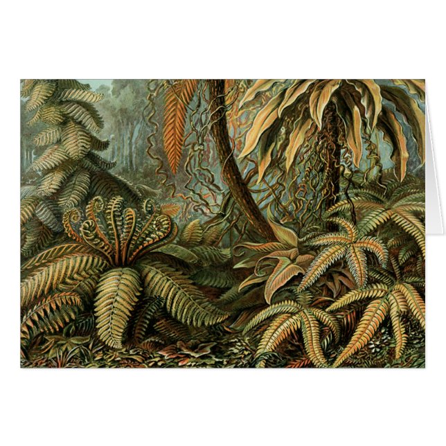 Ferns Palm Tree Antique Botanica Ferns Art (Anverso (Horizontal))