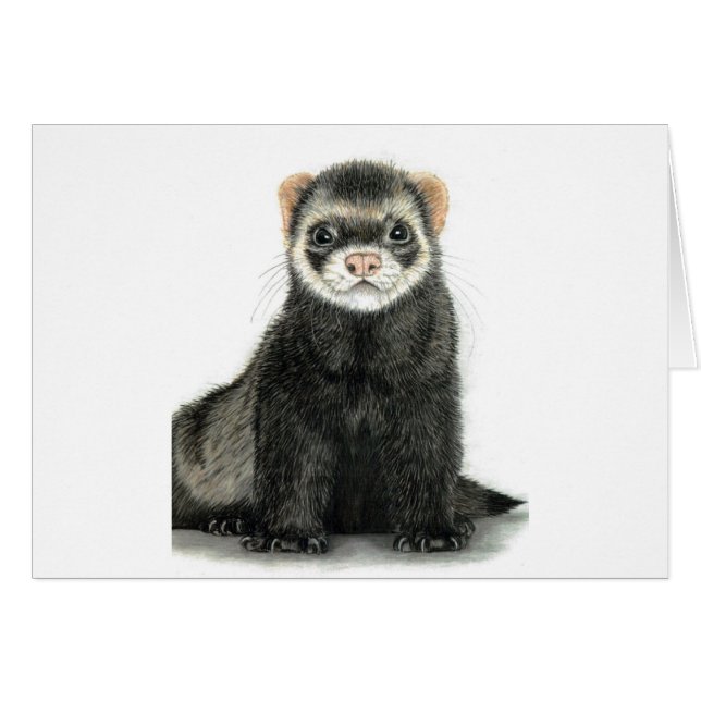 ¡Ferret divertido! (Anverso (Horizontal))