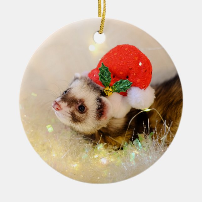 Ferret en fiesta Gorra adorno navideño (Frente)