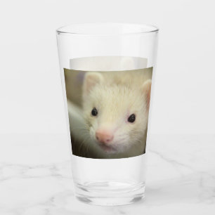 Ferret face