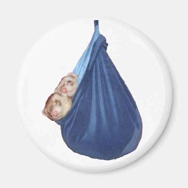 Ferretes En Un Imán De Bolsa Durmiente (Frente)