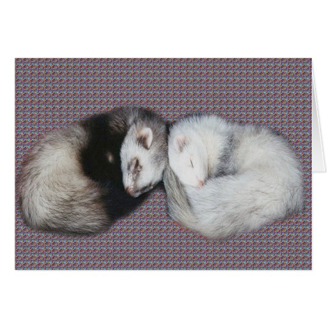 Ferrets Sweet Dreams (Anverso (Horizontal))