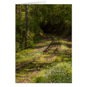 Ferrocarril Abandonado En Un Bosque