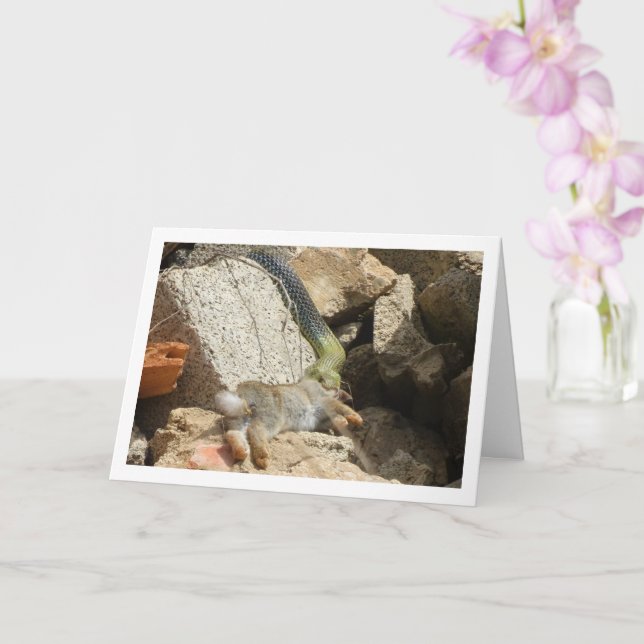 Festín de serpientes de Montpellier con tarjeta de (Orquídea)