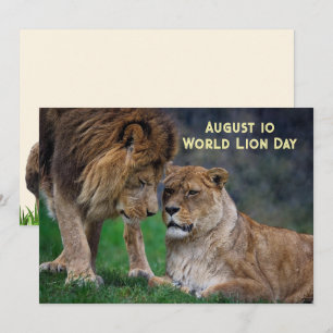 Festiva 10 de agosto, Día Mundial del León tarjeta de 5 x 