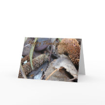 Acción de gracias feliz - tarjeta