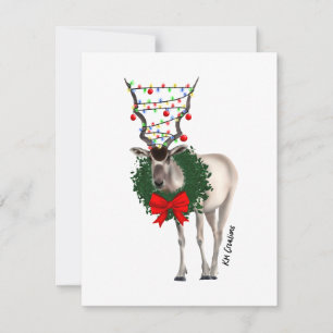 Festiva Addax - tarjeta de vacaciones