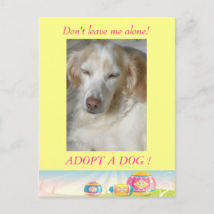 Festiva Adoptar una postal de Pascua de Perro