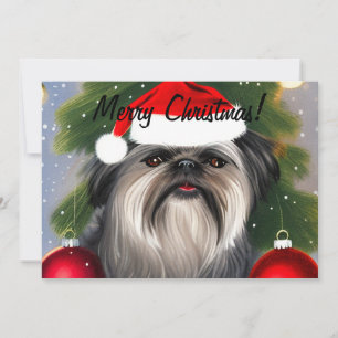 Festiva Affenpinscher En Tarjeta De Festividad Plana Gorra