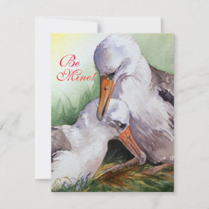 Festiva Albatros en la tarjeta de San Valentín de amor