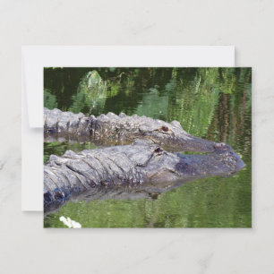 Festiva Alligator Best Friends Valentine - Tarjeta plana