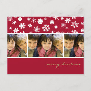 Festiva Amaryllis Snowflakes :: Navidades Foto postal