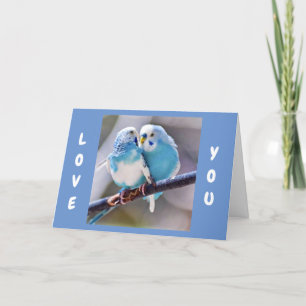 FESTIVA **AMO A LOS PÁJAROS A DECIR QUE TE AMO** TARJETA D