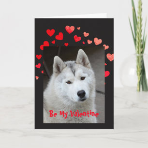 Festiva Amor del tejido de la causa I usted tarjeta del