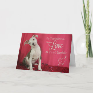 Festiva Amor en la primera tarjeta del amor adolescente de