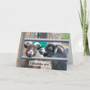 Festiva Amor por cabras - Tarjeta de arte marco