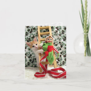 Festiva Annie y el elfo - Tarjeta para Navidades gatos/gat