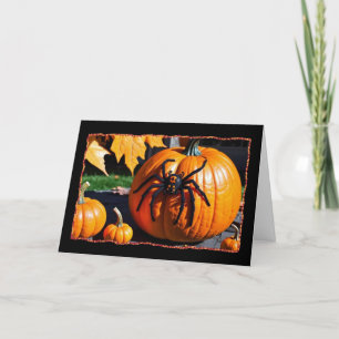 Festiva Araña en tarjeta de Halloween de calabaza