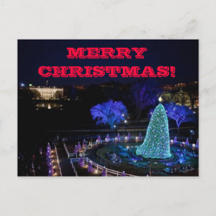 Festiva Árbol Nat'l de navidades - Postal
