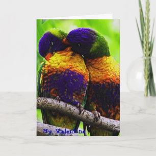 Festiva Arco iris Lorikeets, mi tarjeta del día de San