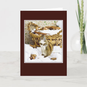 Festiva Ardilla con los pinecones - tarjeta de
