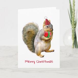 Festiva ardilla con tarjeta de Navidades de regalo rojo