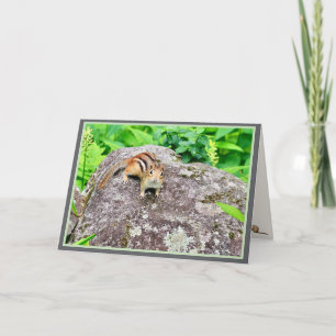 Festiva Ardilla de Chipmunk Oriental: Tarjeta de vacacione