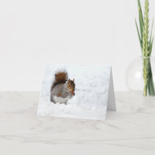 Festiva Ardilla en Nieve con tarjeta de feriado de Berry