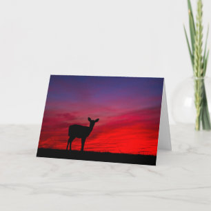Festiva Atardecer con tarjeta de saludo de ciervo