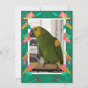 Festiva Aves de Arte Popular, Foto de Tarjeta de Cumpleaño