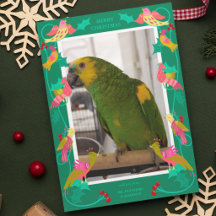 Aves de Arte Popular, Foto de Tarjeta de Cumpleaño