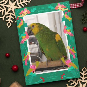 Festiva Aves de Arte Popular, Foto de Tarjeta de Cumpleaño