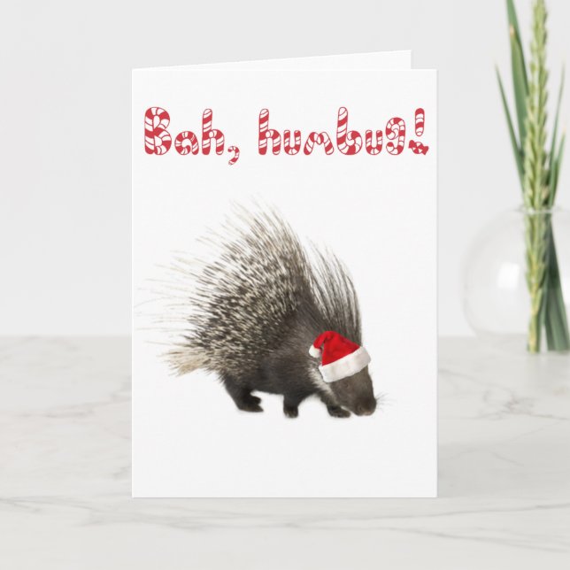 Festiva ¡Bah, cohetes! Tarjeta Porcupine (Anverso)
