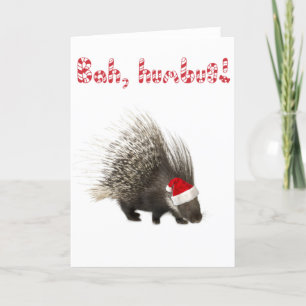 Festiva ¡Bah, cohetes! Tarjeta Porcupine