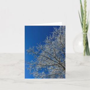 Festiva Belleza de la tarjeta de felicitación de invierno