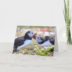 Festiva Besando la tarjeta Puffins - San Valentín