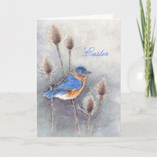 Festiva Bluebird entre la tarjeta Thistles Easter