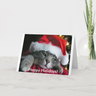 Festiva ¡Buenas fiestas! Tarjeta linda del gatito