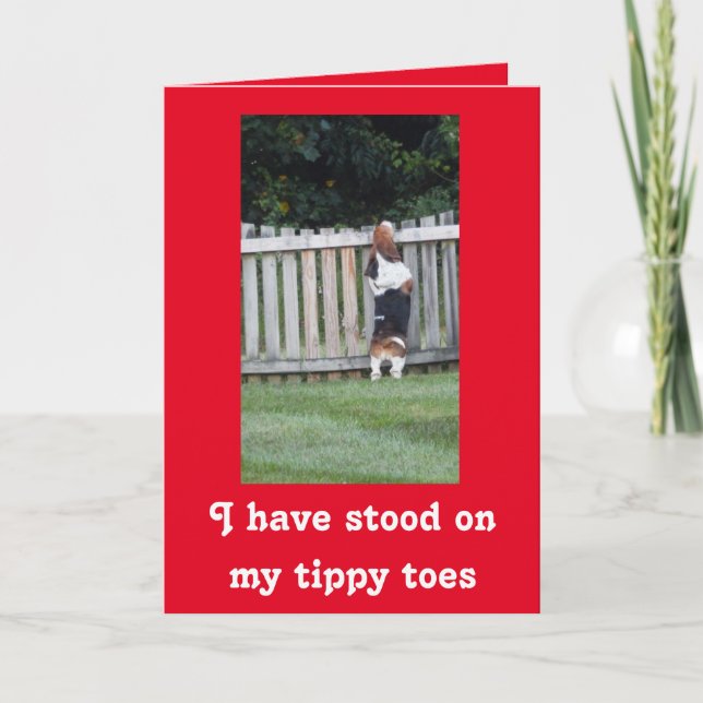 Festiva Buscando Basset en la tarjeta El día de San Valent (Anverso)