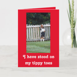 Festiva Buscando Basset en la tarjeta El día de San Valent