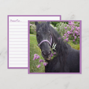 Festiva Caballo Friesiano de Belleza Negra - Tarjeta de sa