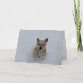 Festiva Cachorro de cachorros a través de la tarjeta de sa