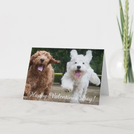 Festiva Cachorros adorables de Cockapoo | Tarjeta día de S