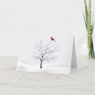 Festiva Cardenal sobre la tarjeta de Navidades de árbol de