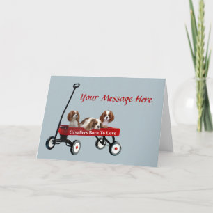 Festiva Cavaliers en tarjeta de felicitación del carro